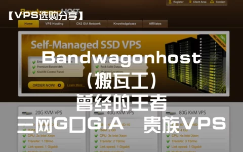 【VPS选购分享】Bandwagonhost（搬瓦工）——曾经的王者，三网G口GIA，贵族VPS