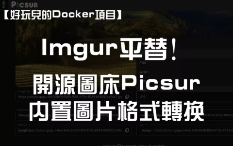 【好玩儿的Docker项目】10分钟搭建一个内置图片转换功能的图床——Picsur
