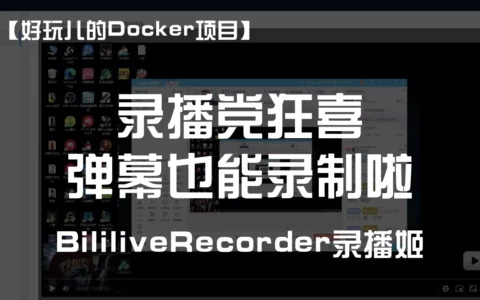 弹幕+录播我全都要！又一个B站录播神器——录播姬｜好玩儿的Docker项目